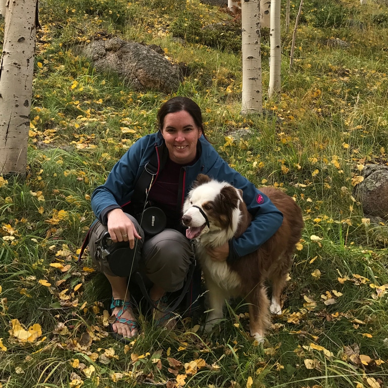 Author profile image