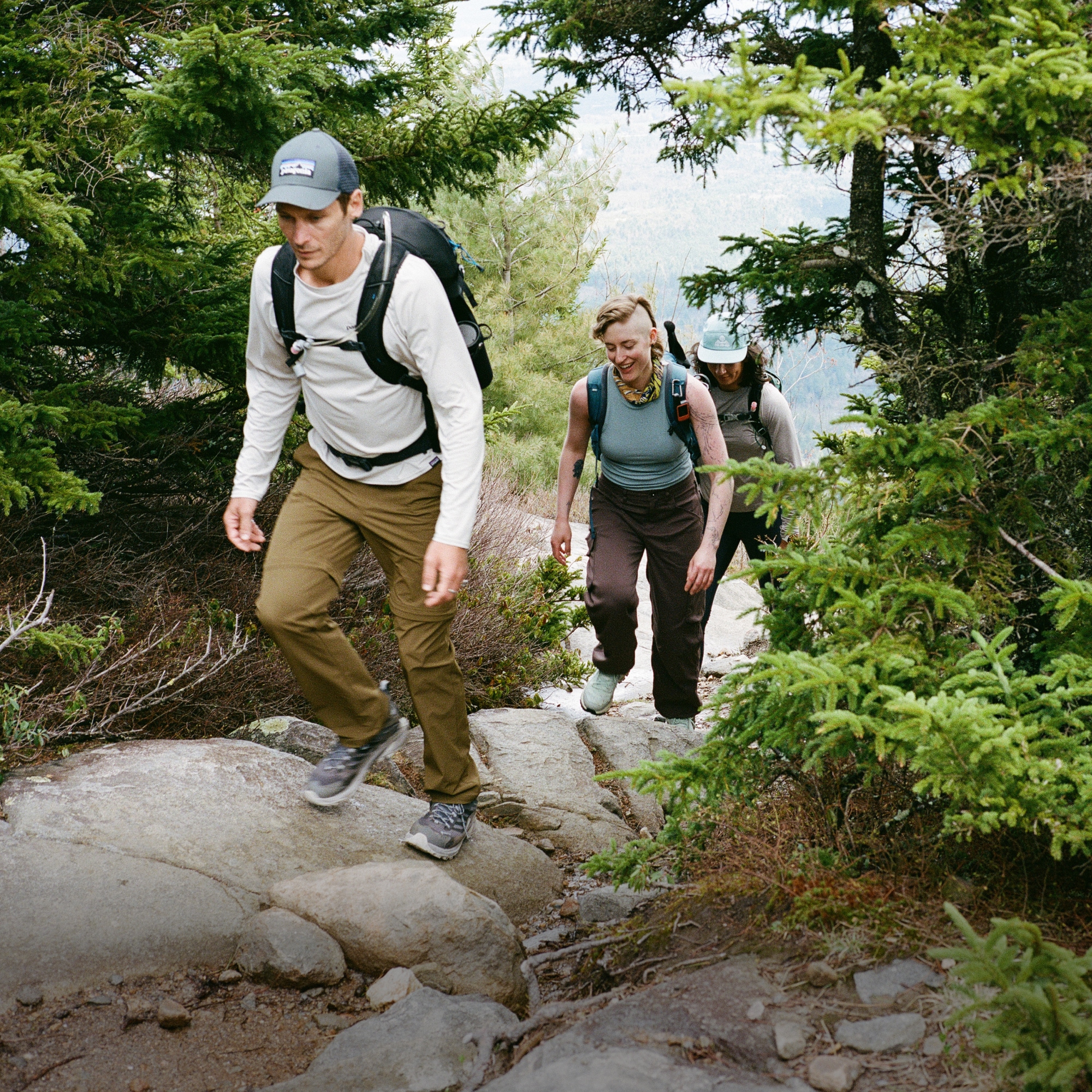 Three hikers on a rocky trail hiking between trees.