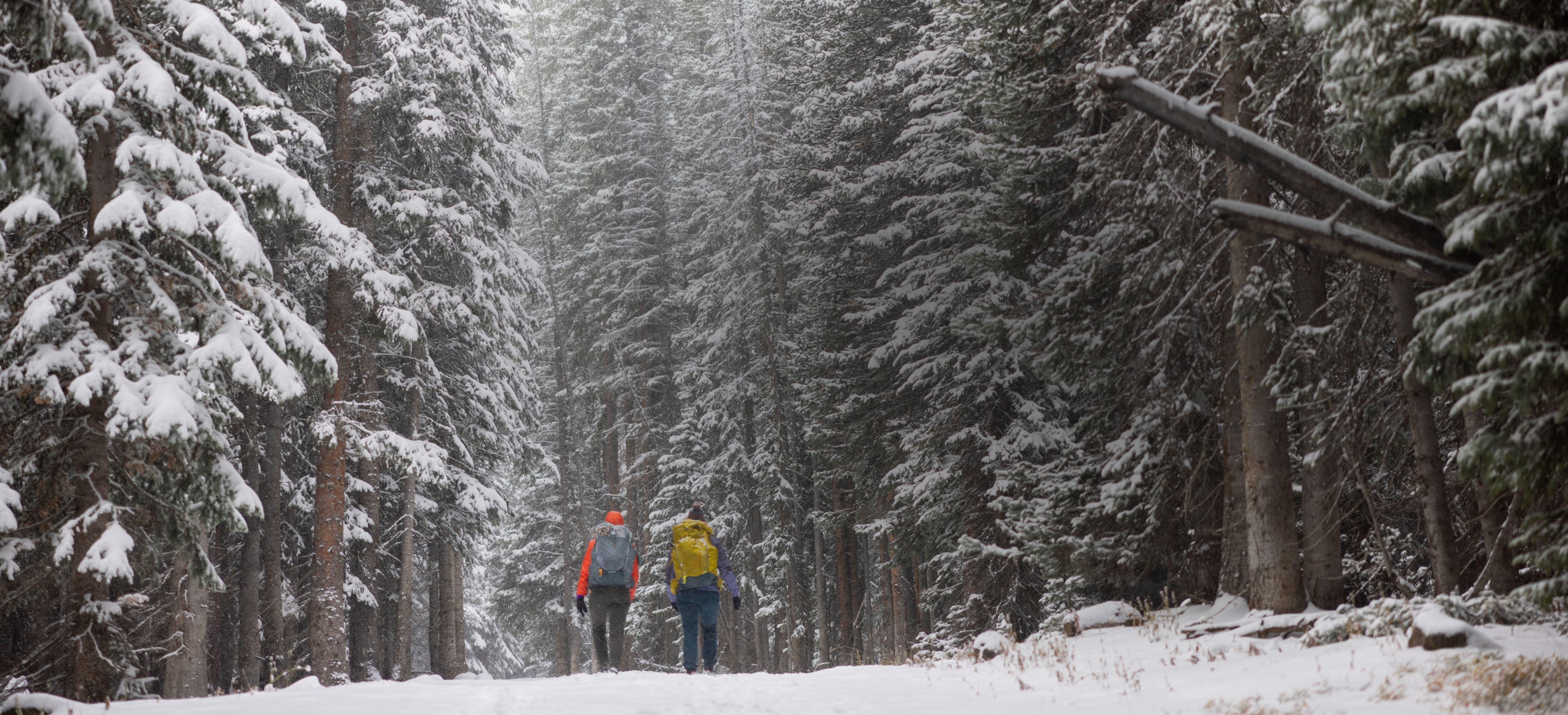 The words 'Opt Outside' over an image of two people hiking through a snowy, tree-lined forest.