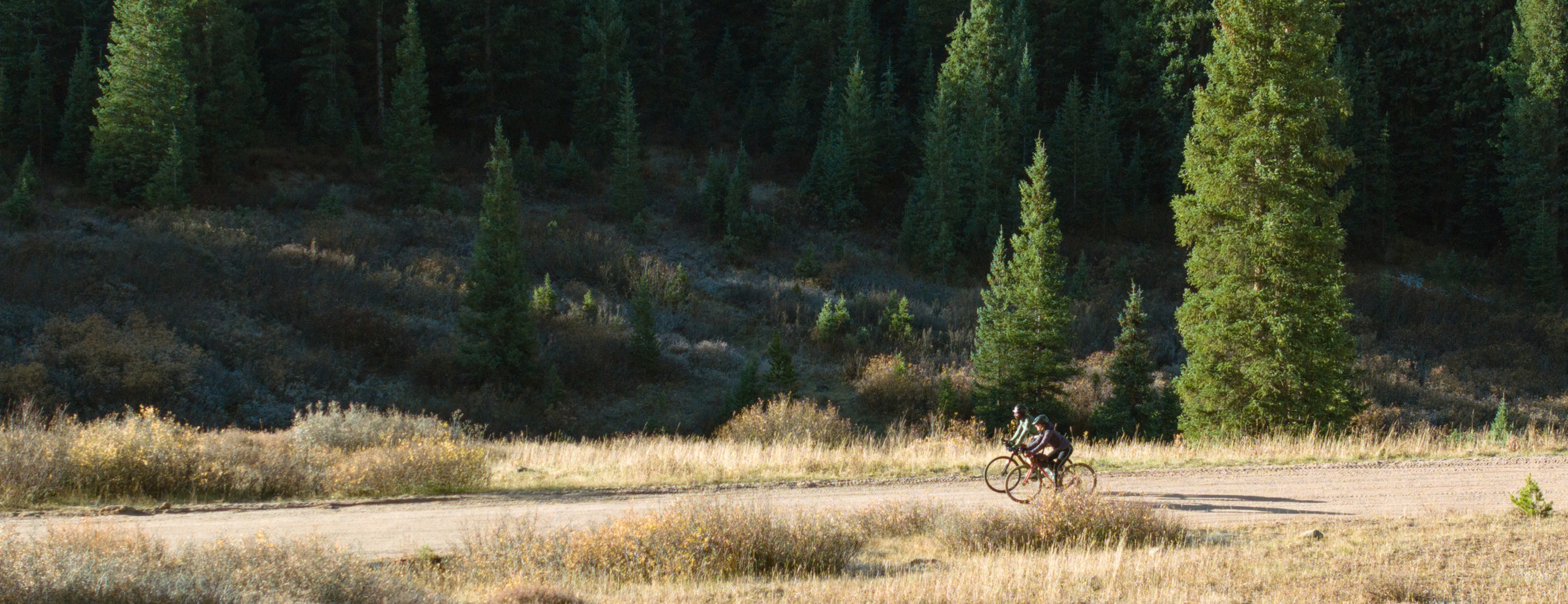 Two people bike through a dirt trail surrounded by trees on one side.