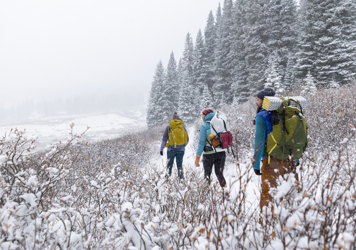Three people hike through a snowy trail on a cold day.