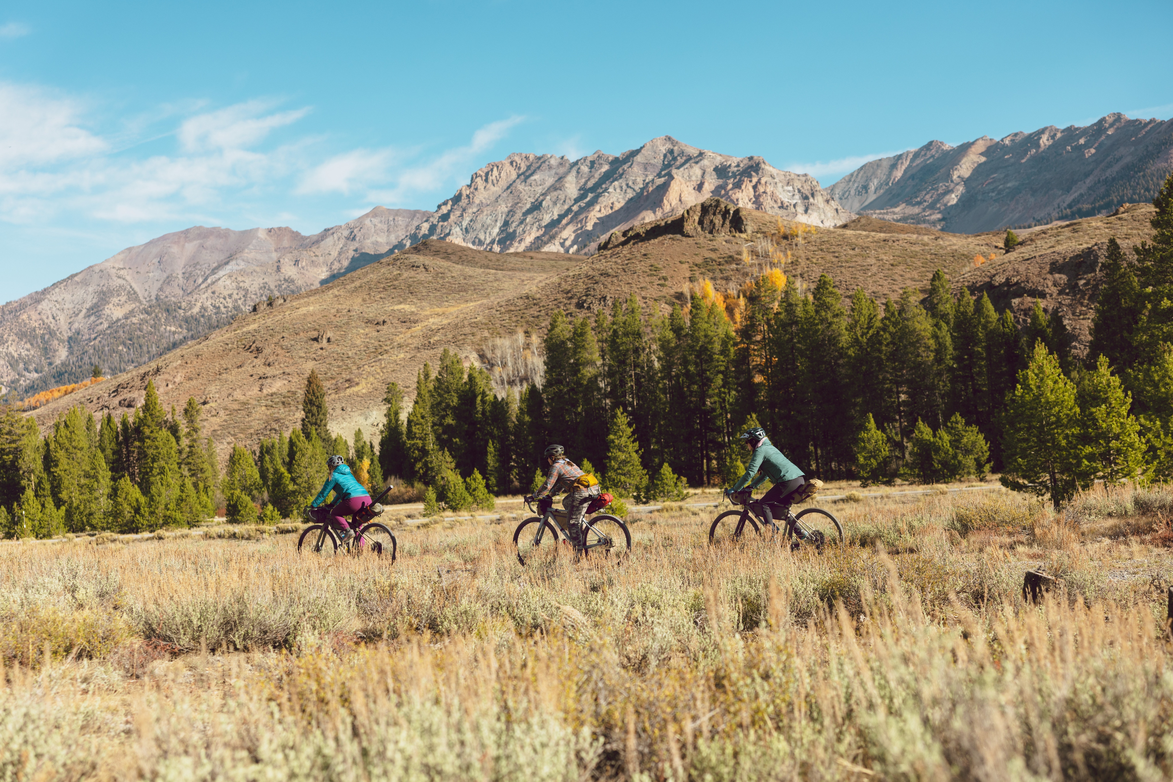 Three cyclists ride through grasses and mountain views