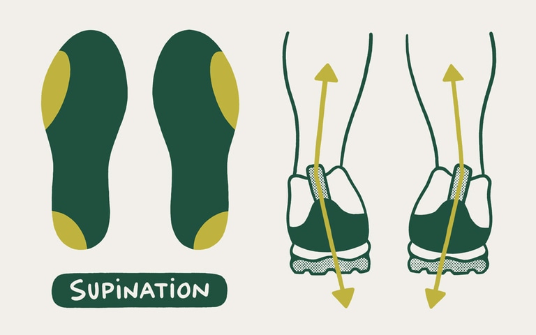 An illustration of supination