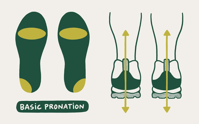 An illustration of basic pronation
