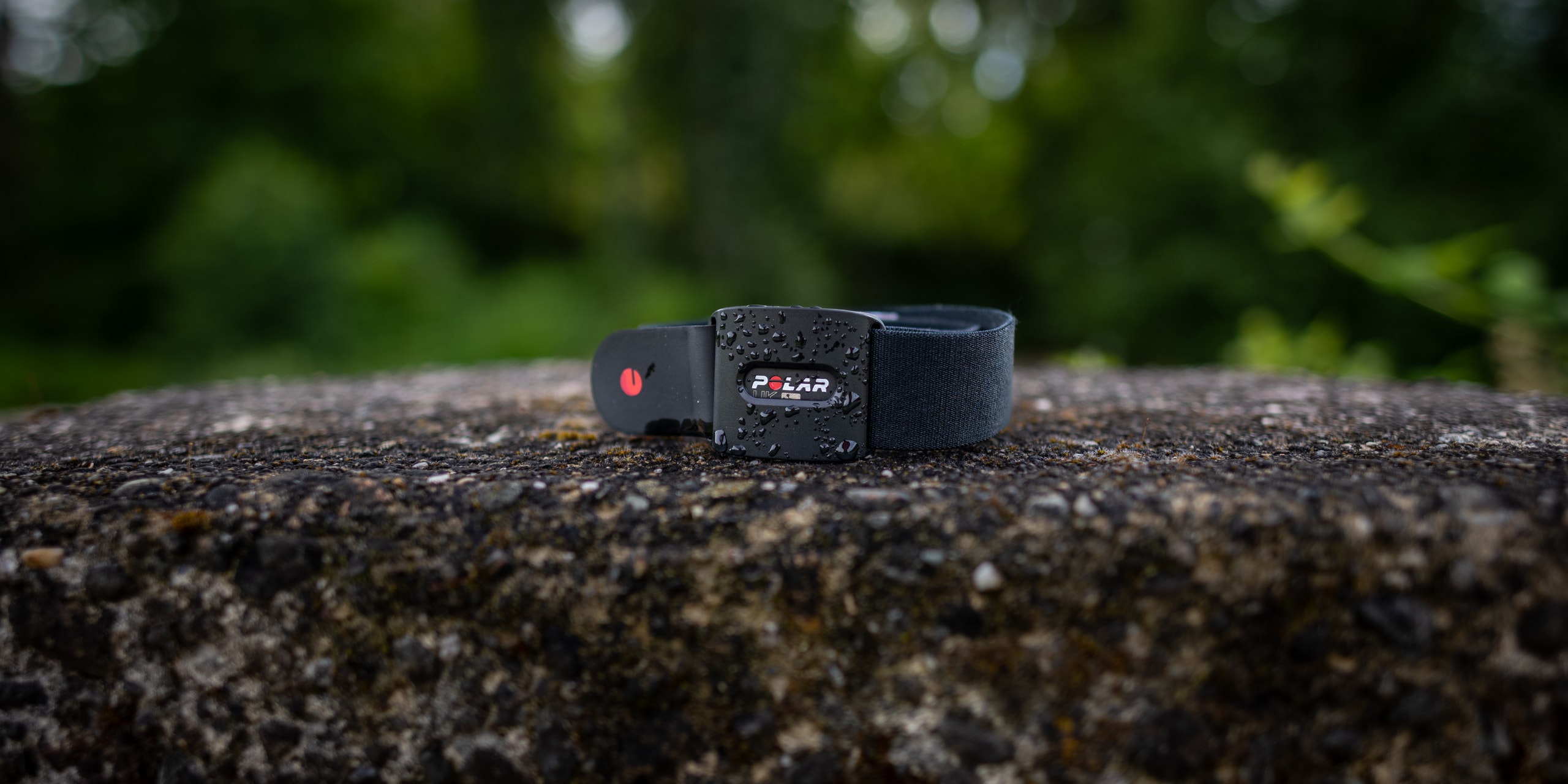 Polar Verity Sense Optical Heart Rate Sensor on a rock in the forest.