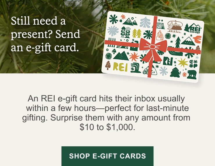 REI Co-op gift cards. Headline: Still need a present? Send an e-gift card. An REI e-gift card hits their inbox usually within a few hours&mdash;perfect for last-minute gifting. Surprise them with any amount from $10 to $1,000. SHOP E-GIFT CARDS