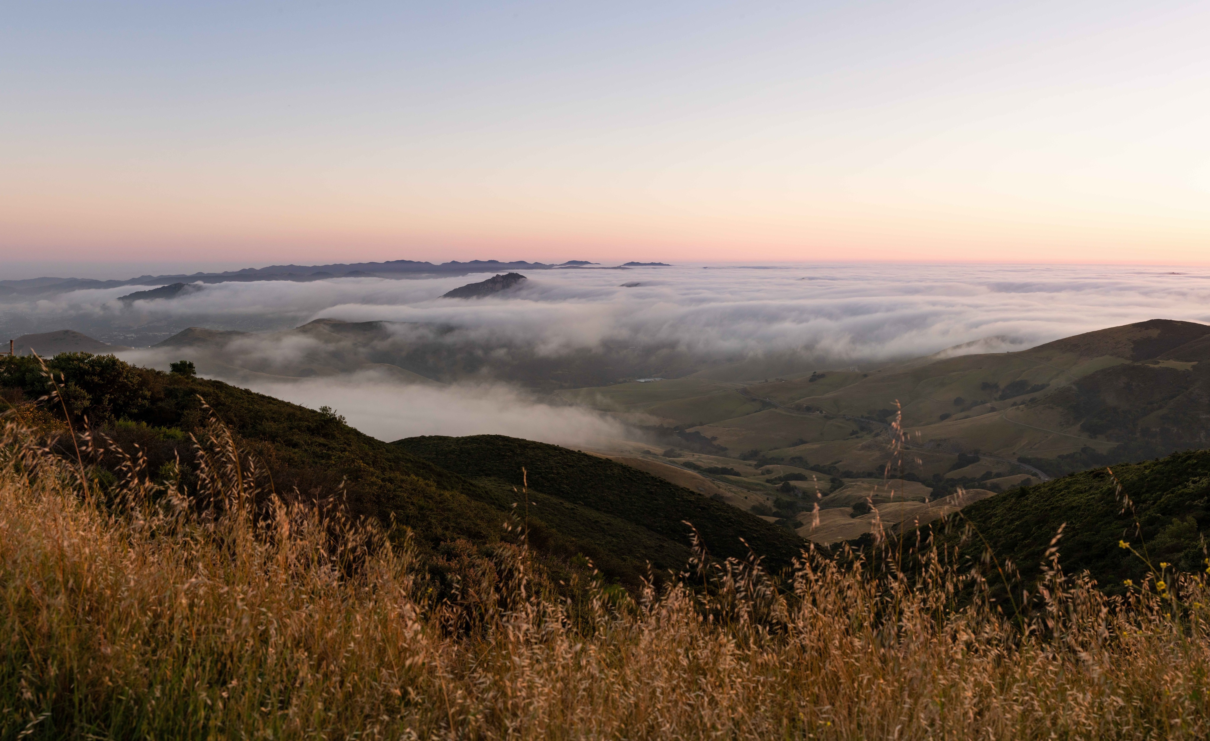 A sweeping vista of a verdant valley, dawn casting an orange glow on the far horizon as billowy patches of morning fog roll through the landscape.