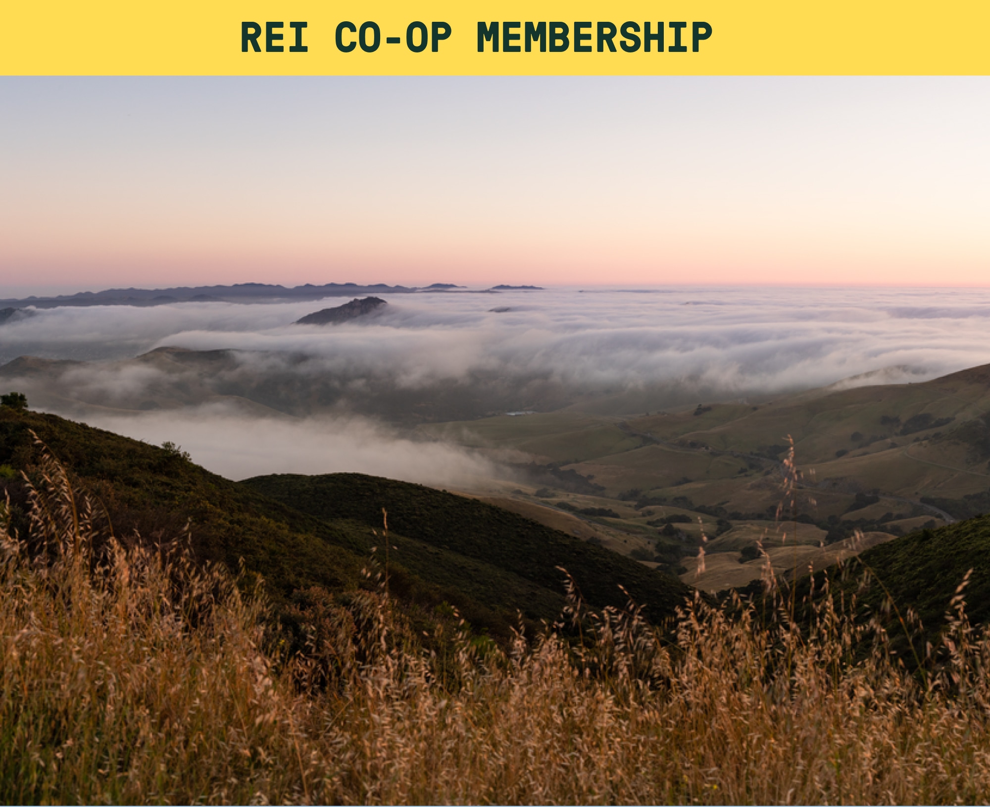 R E I Co-op Membership. A photo of a fog covered mountain range.