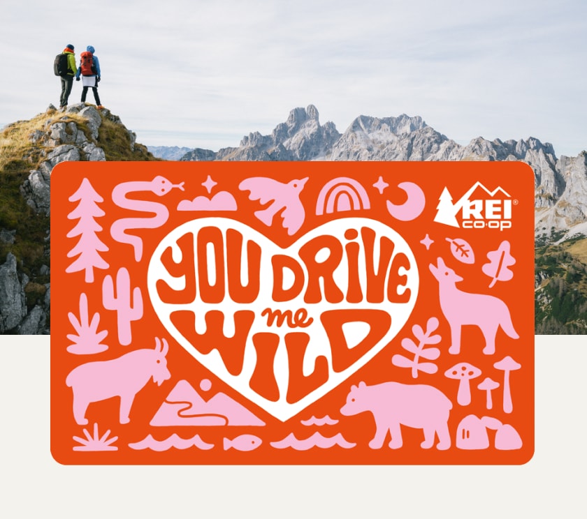 A Valentine’s Day themed gift card that reads ‘You drive me wild’ in the shape of a heart over an image of two people holding hands on top of a rock.