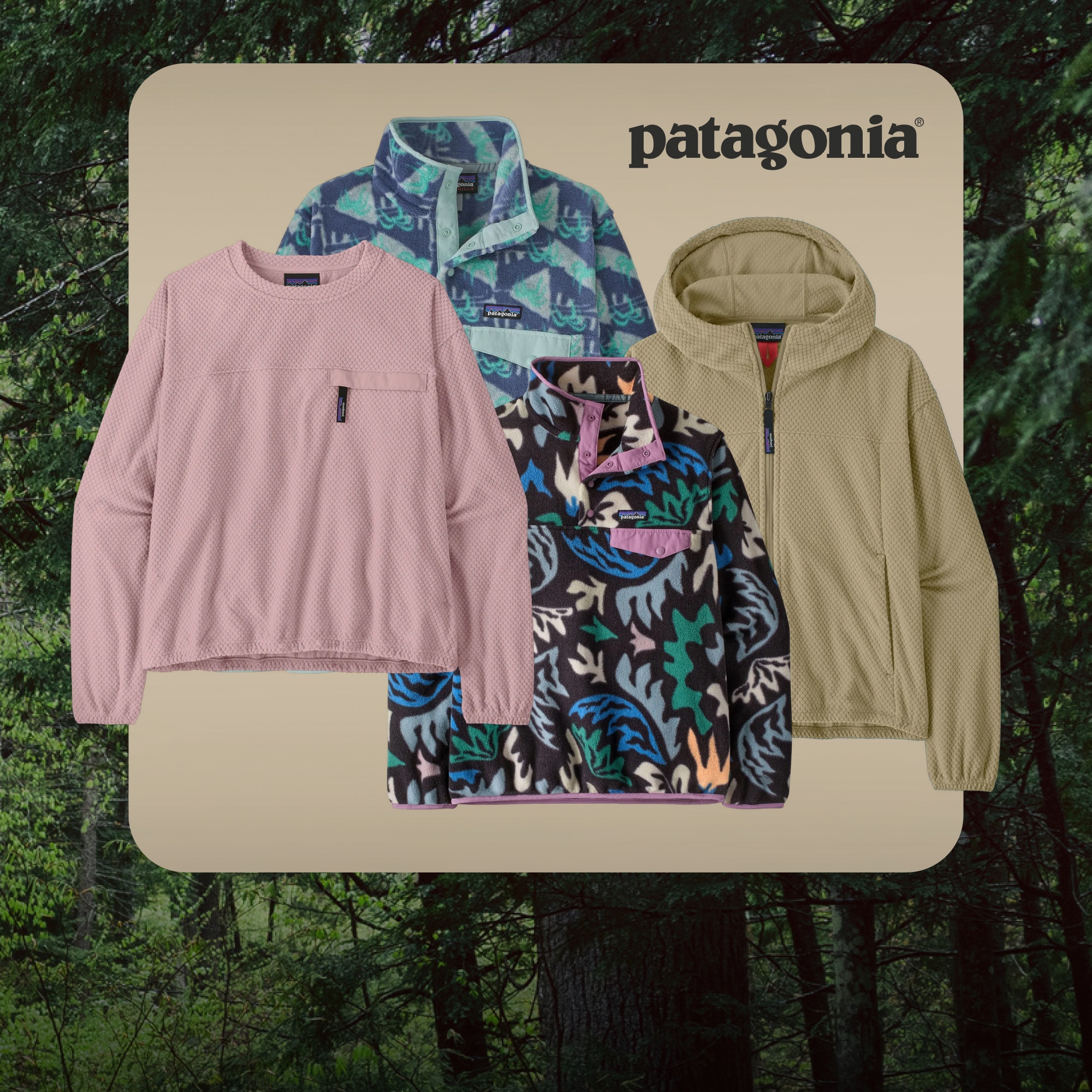 A collage of new clothing from Patagonia on a light colored background over an image of a dense forest.