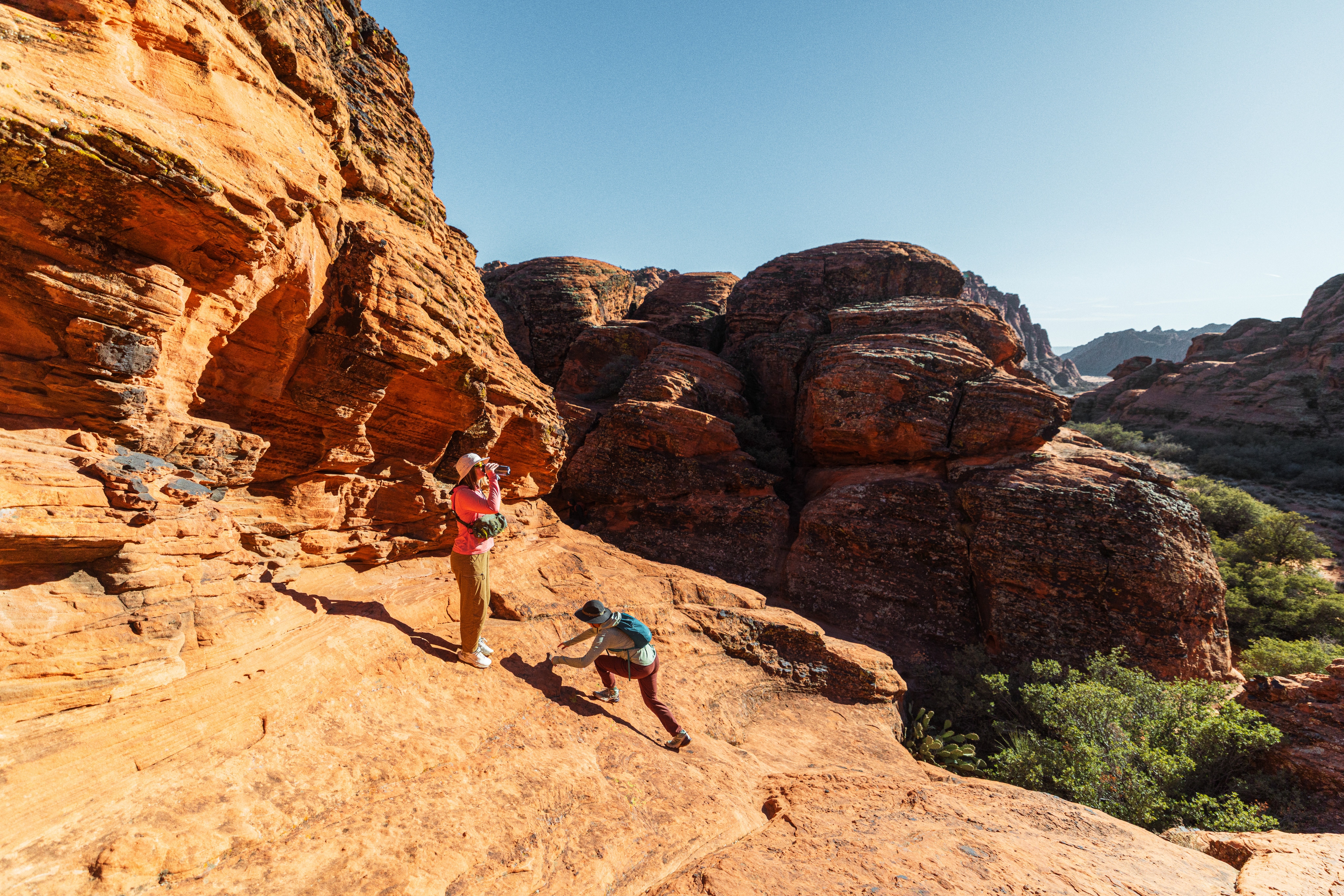 Two people hiking up an incline on a sunny day.
