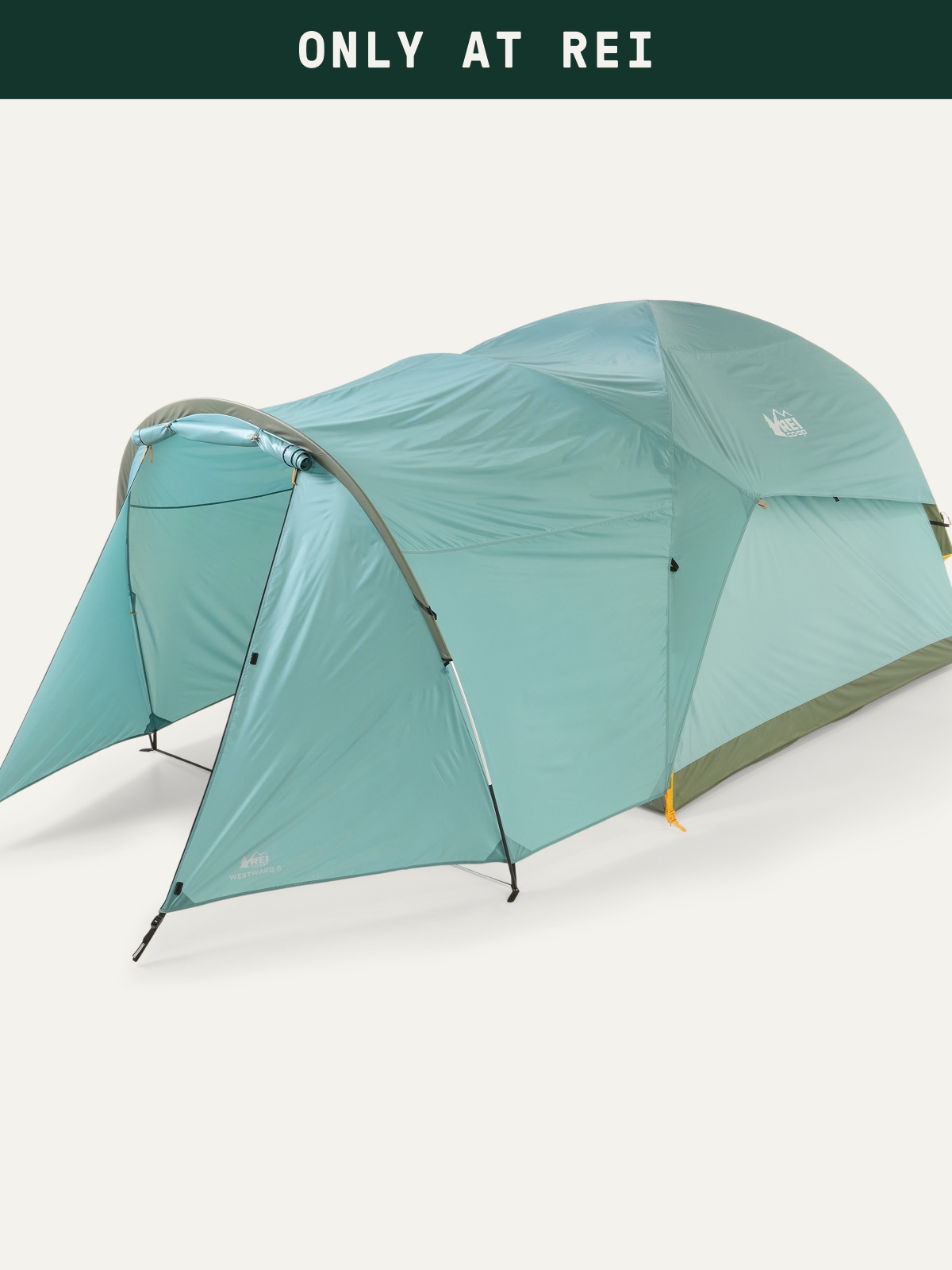 Text reads: ‘Only at R E I’ over an image of an R E I Co-op Westward 6 tent on a light colored background.