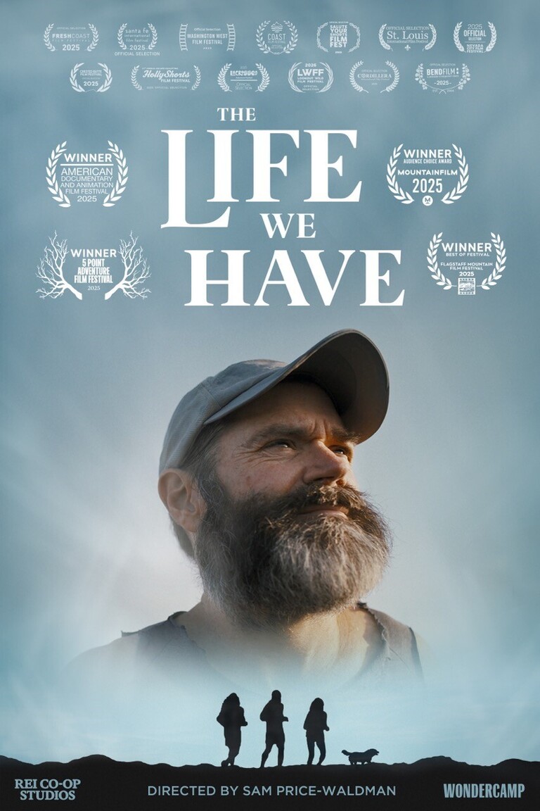 The Life We Have Movie Poster