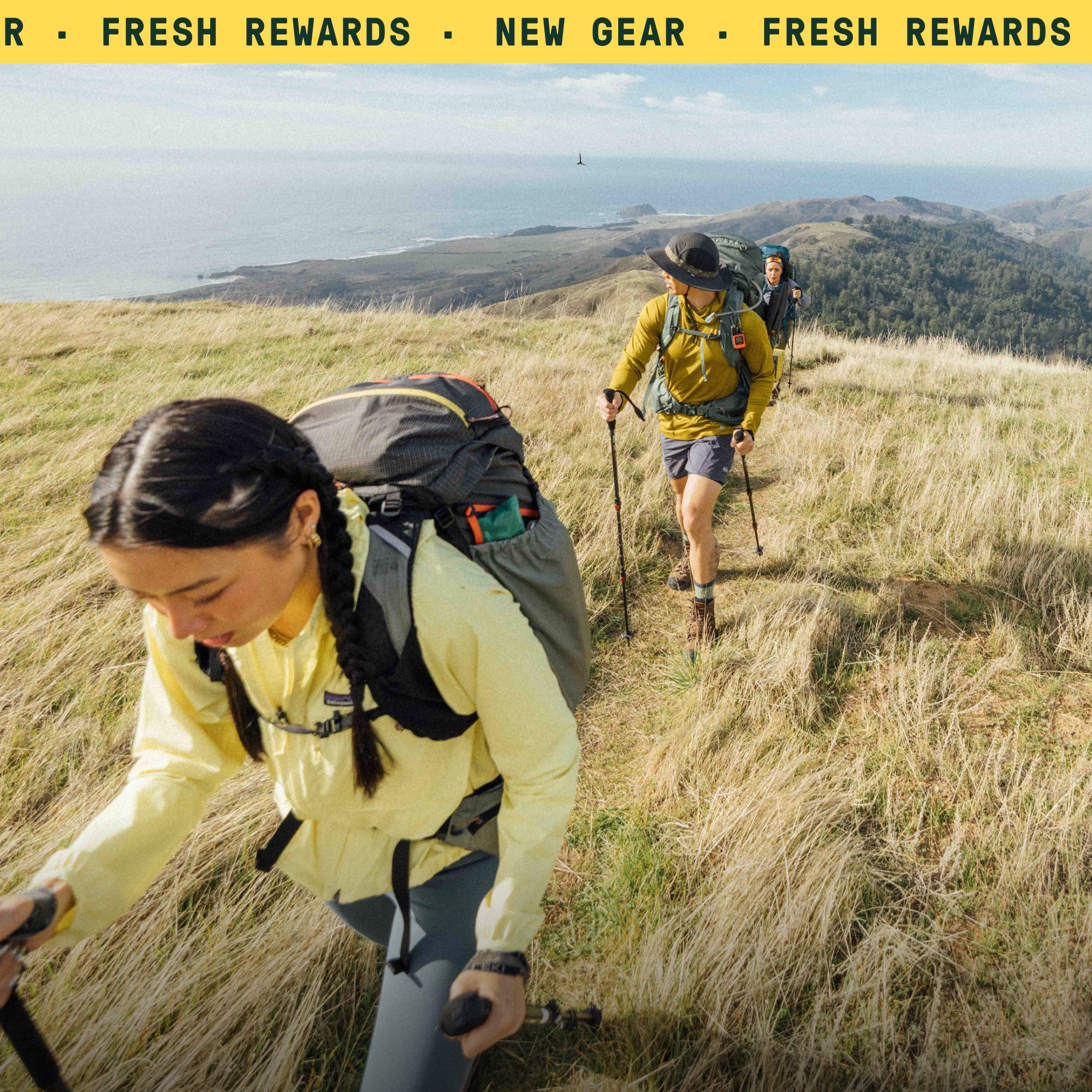 A group of people backpack through a grassy trail.