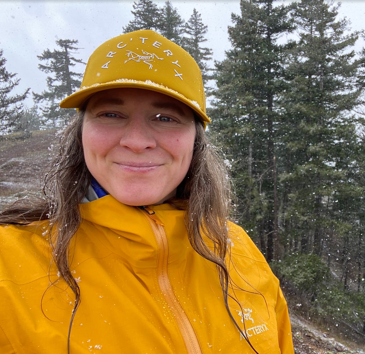 Arc'teryx Beta SL Jacket