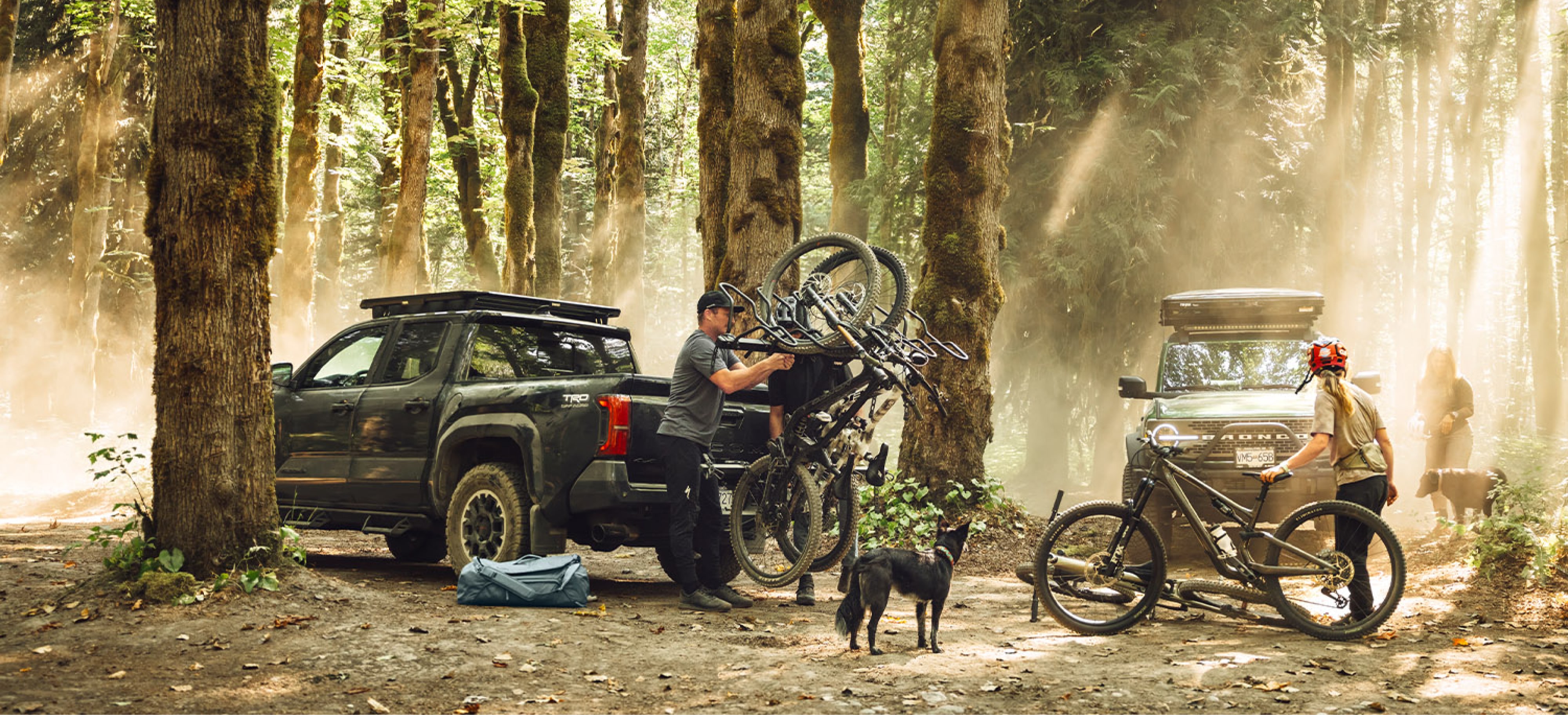 A group of people take their bikes off of their car rack before going for a ride with their two dogs.