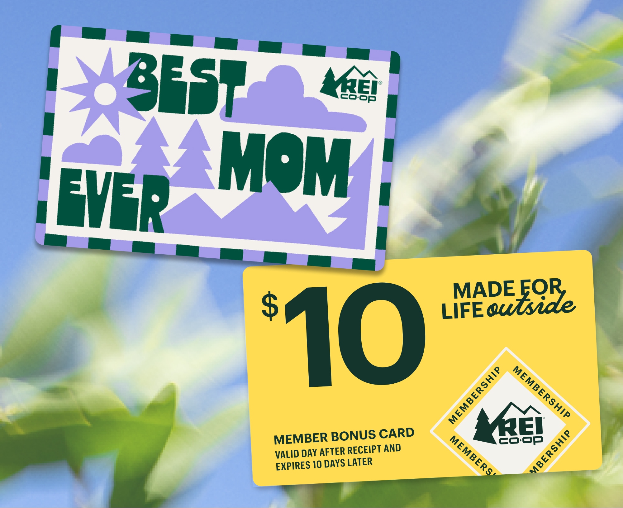 A gift card that reads ‘Best mom ever’ and a yellow Member Bonus Card for $10 that reads ‘Made for life outside’ over an image of blue skies and plants blowing in the wind.