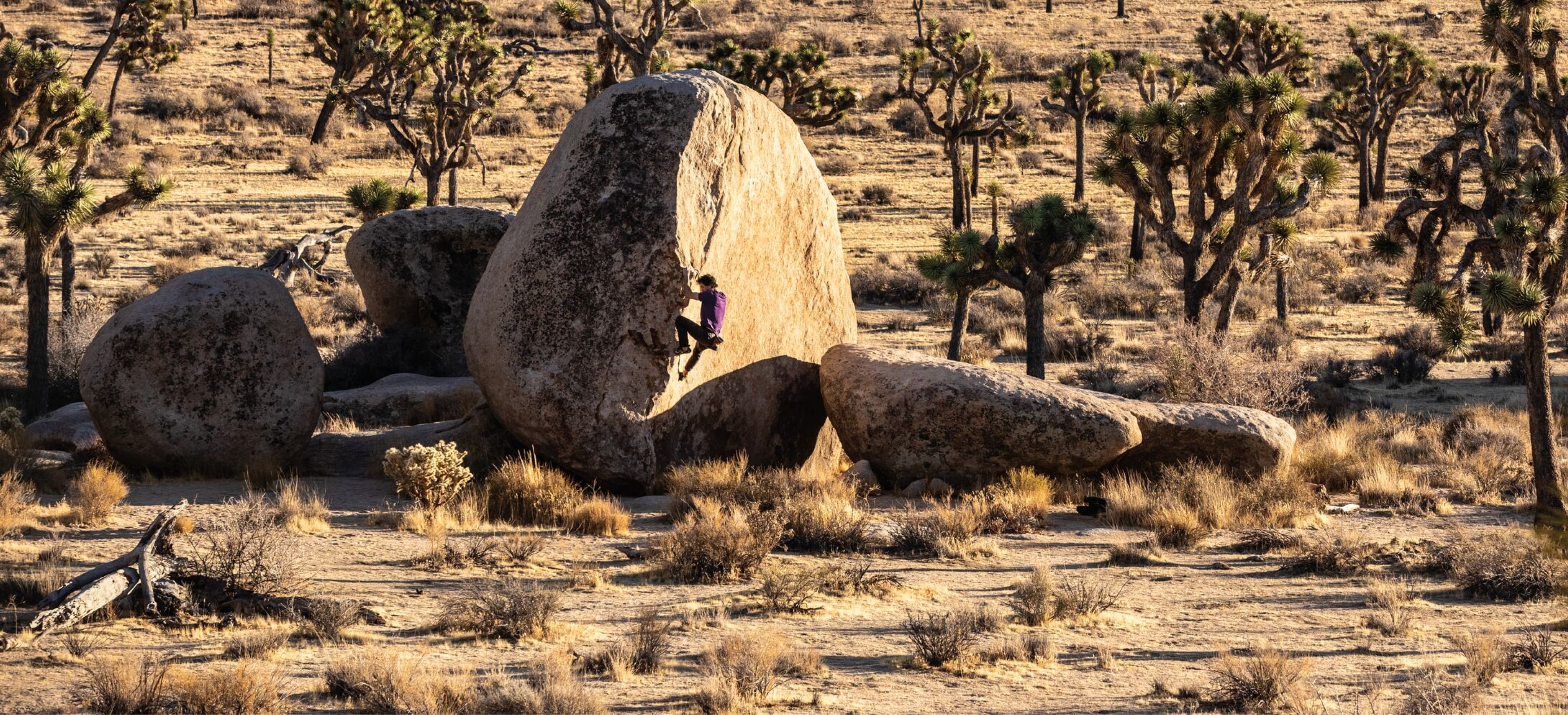 A person climbs up the side of a very steep rock.