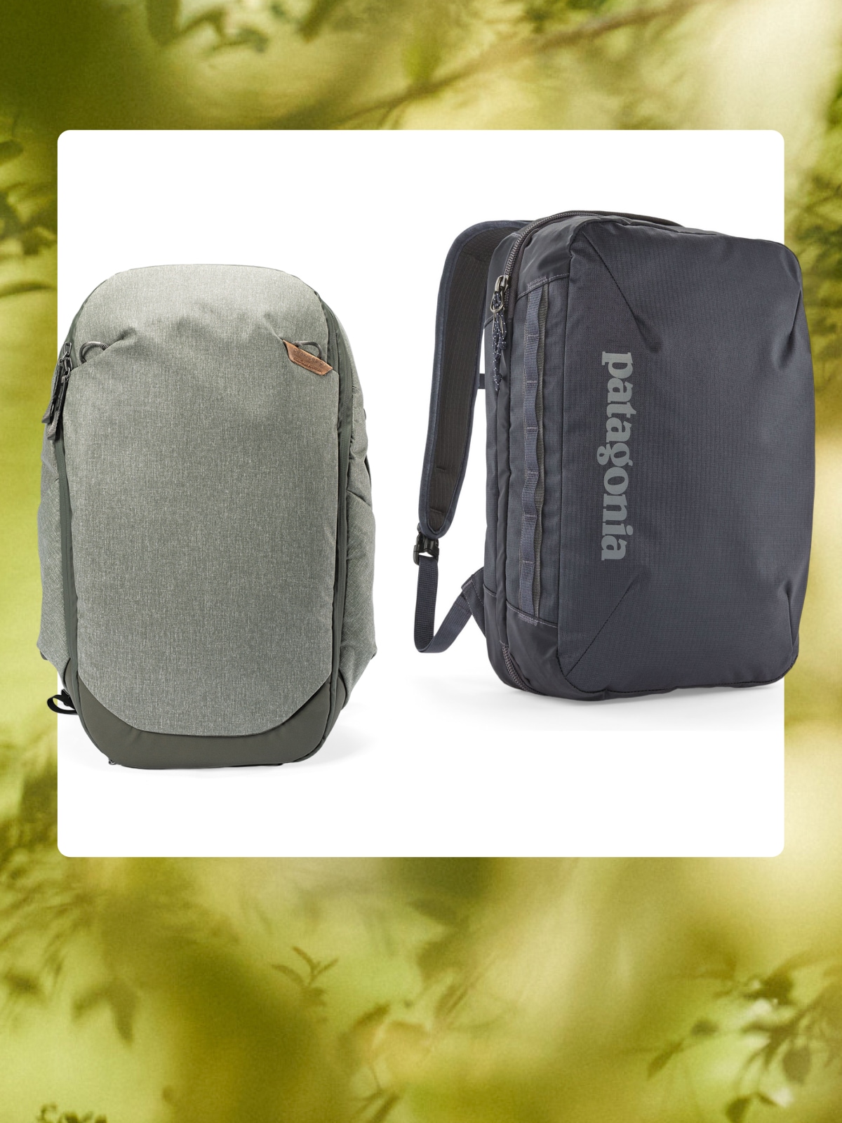 Two backpacks and a sling bag on a white background over an image of leaves on a tree.