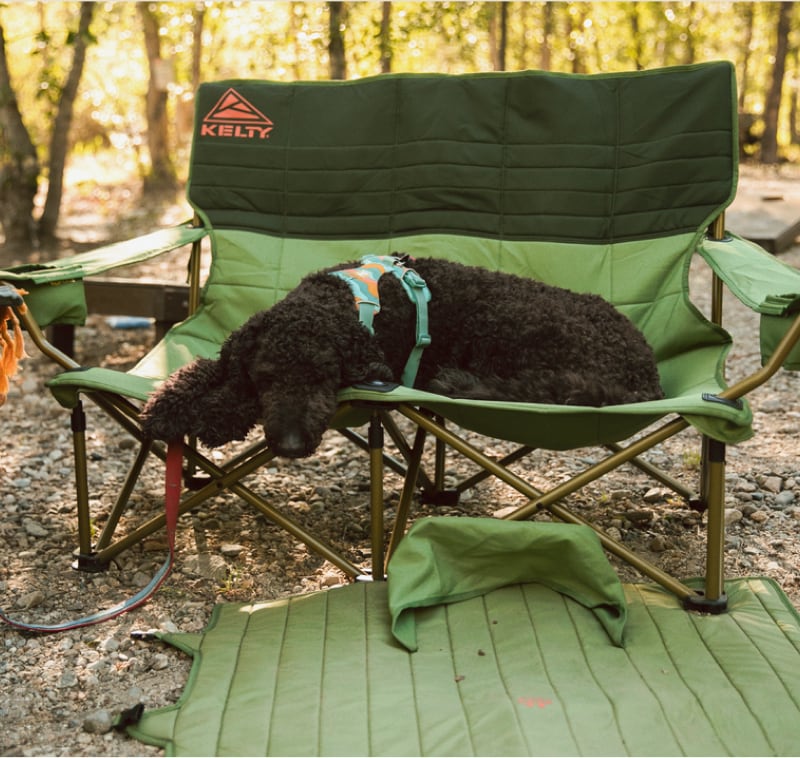 A dog takes a nap in a KELTY camp chair.