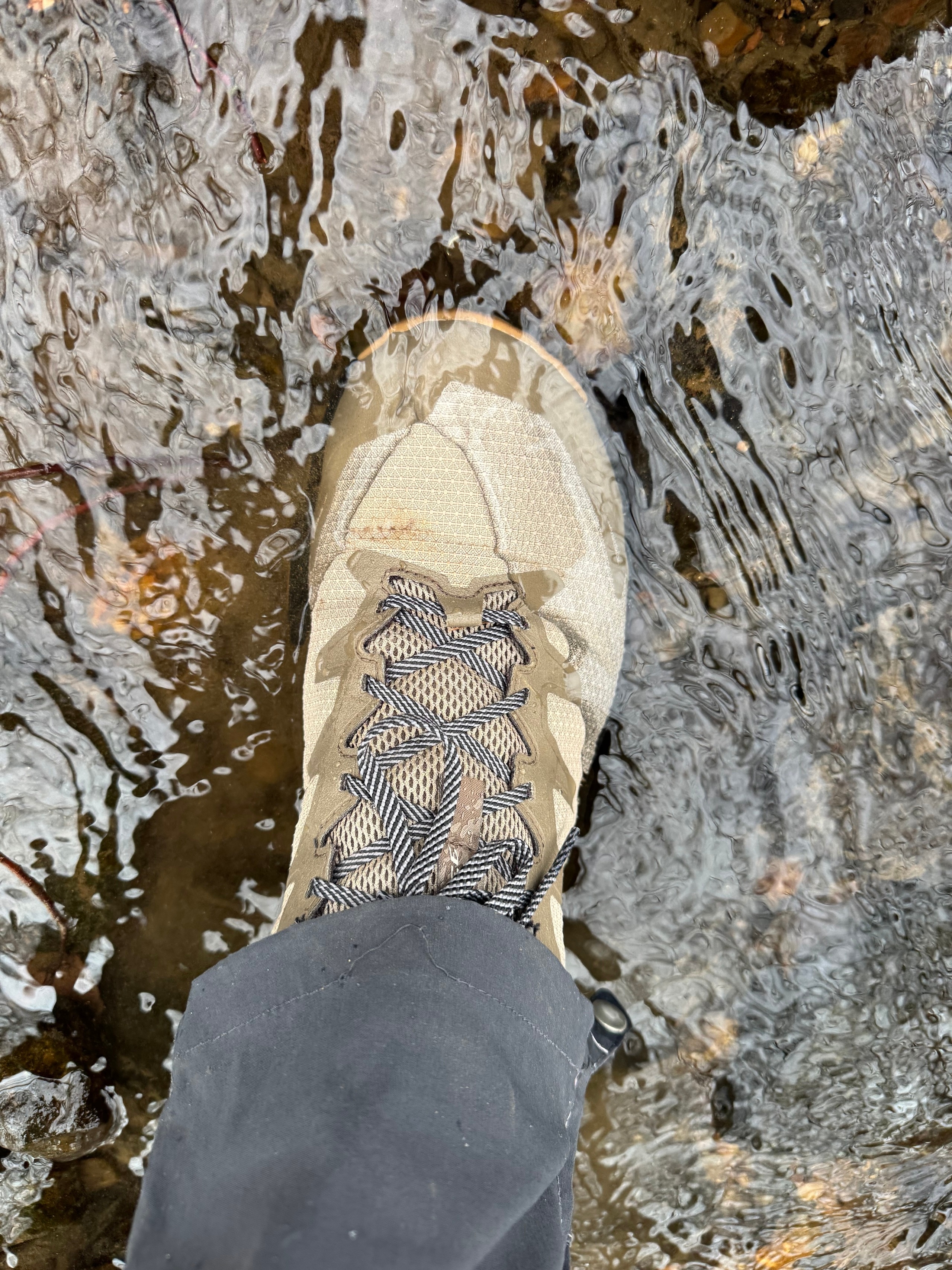 KEEN Targhee Apex Waterproof Hiking Shoes