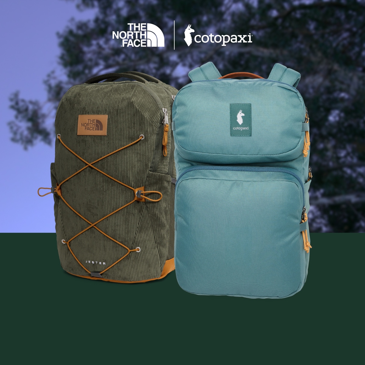 Backpacks from The North Face and Cotopaxi over an image of trees.