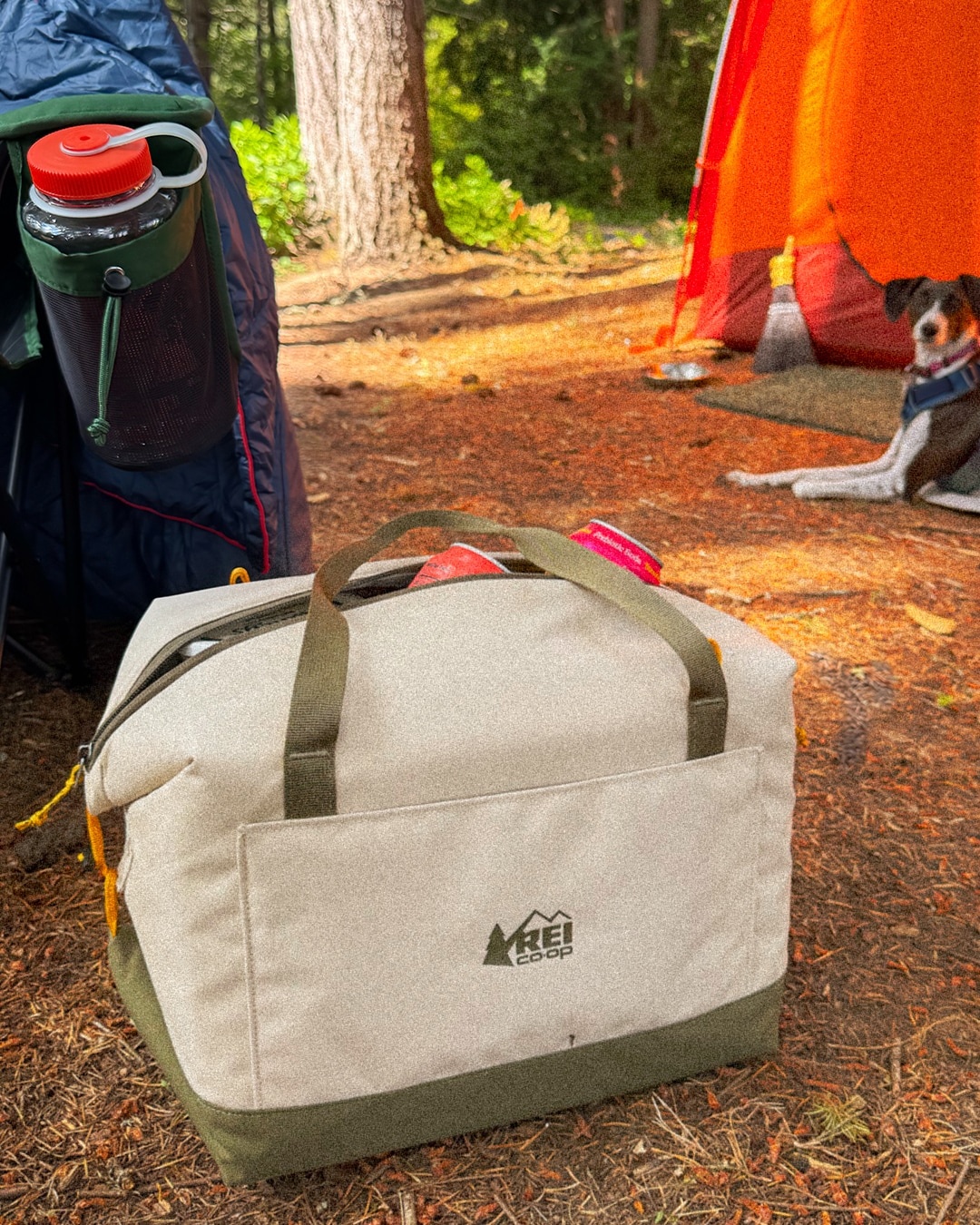 Campwell 18 L Folding Cooler