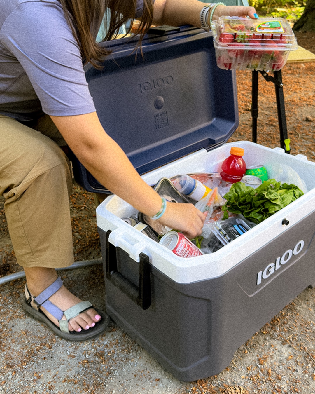 MaxCold Latitude 54-Quart Cooler