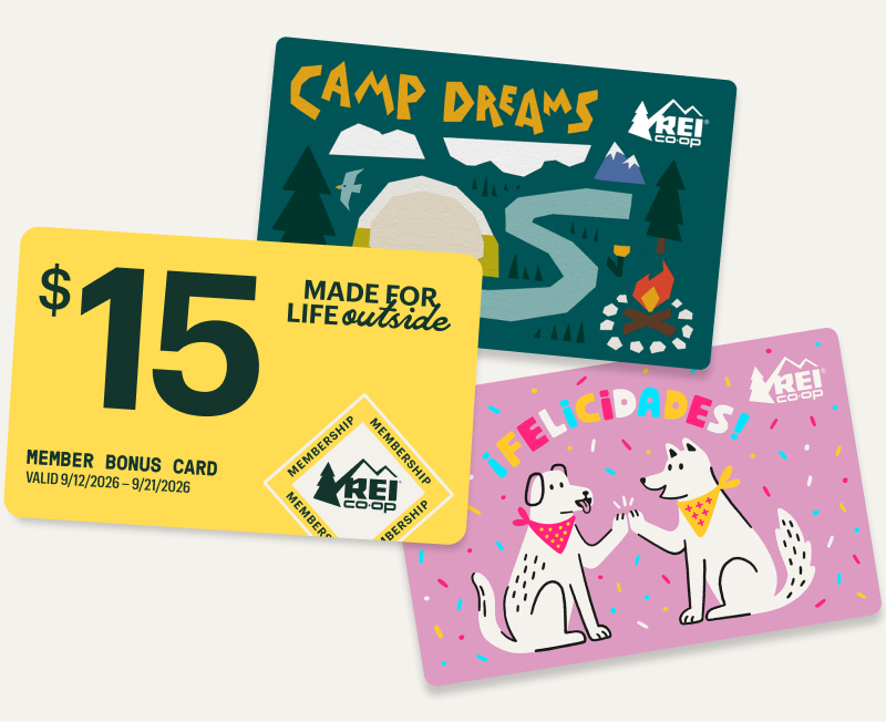Two colorful gift cards and a yellow Member Bonus card on a light colored background.