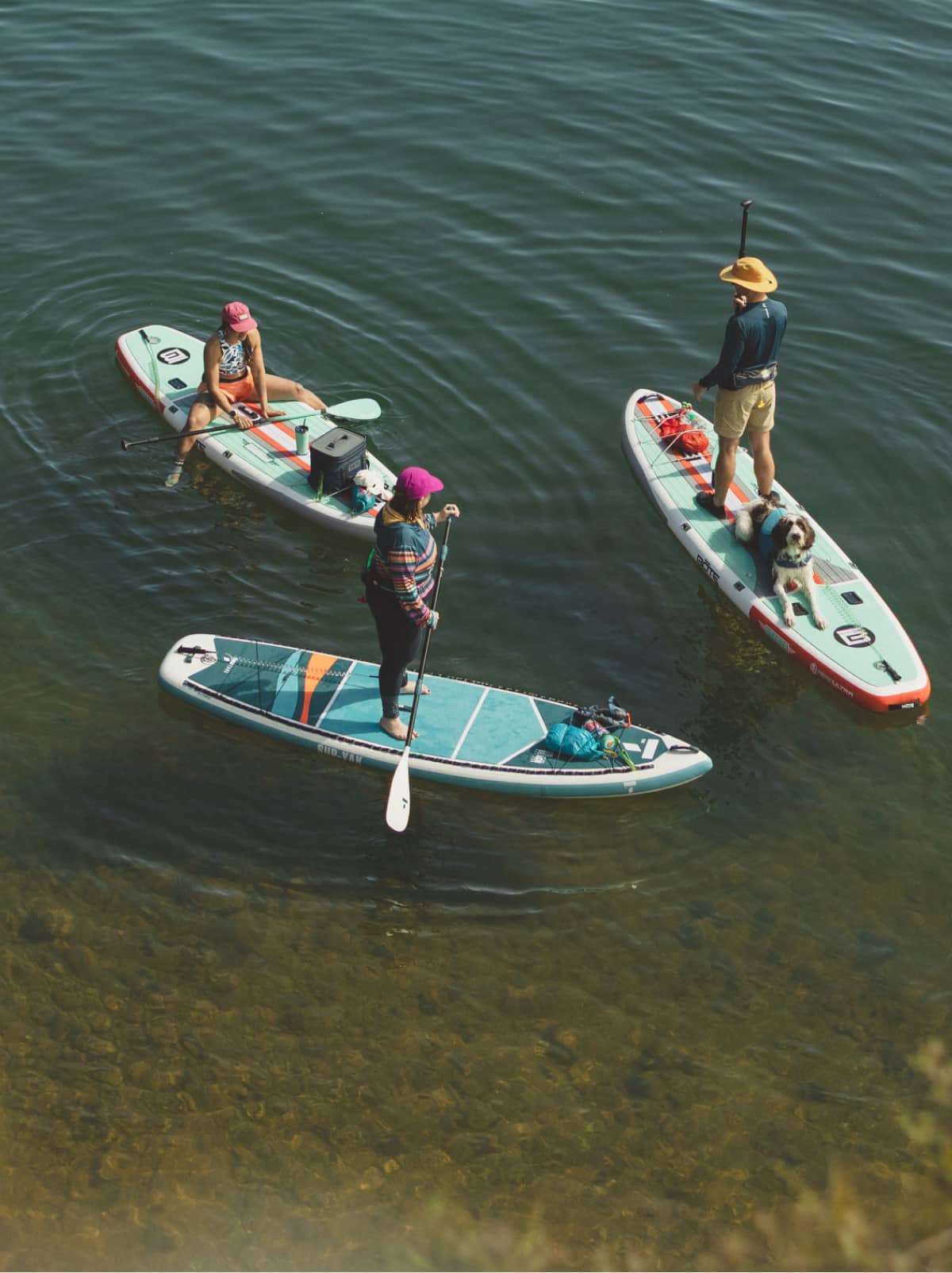 Three people on paddle boards in a body of water. 