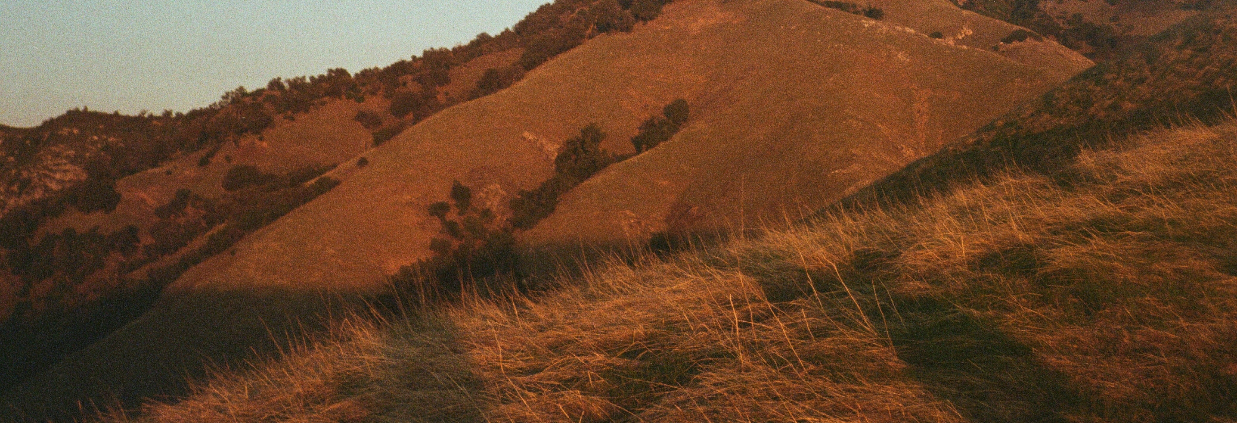 Rolling hills at sunset with the moon in the sky