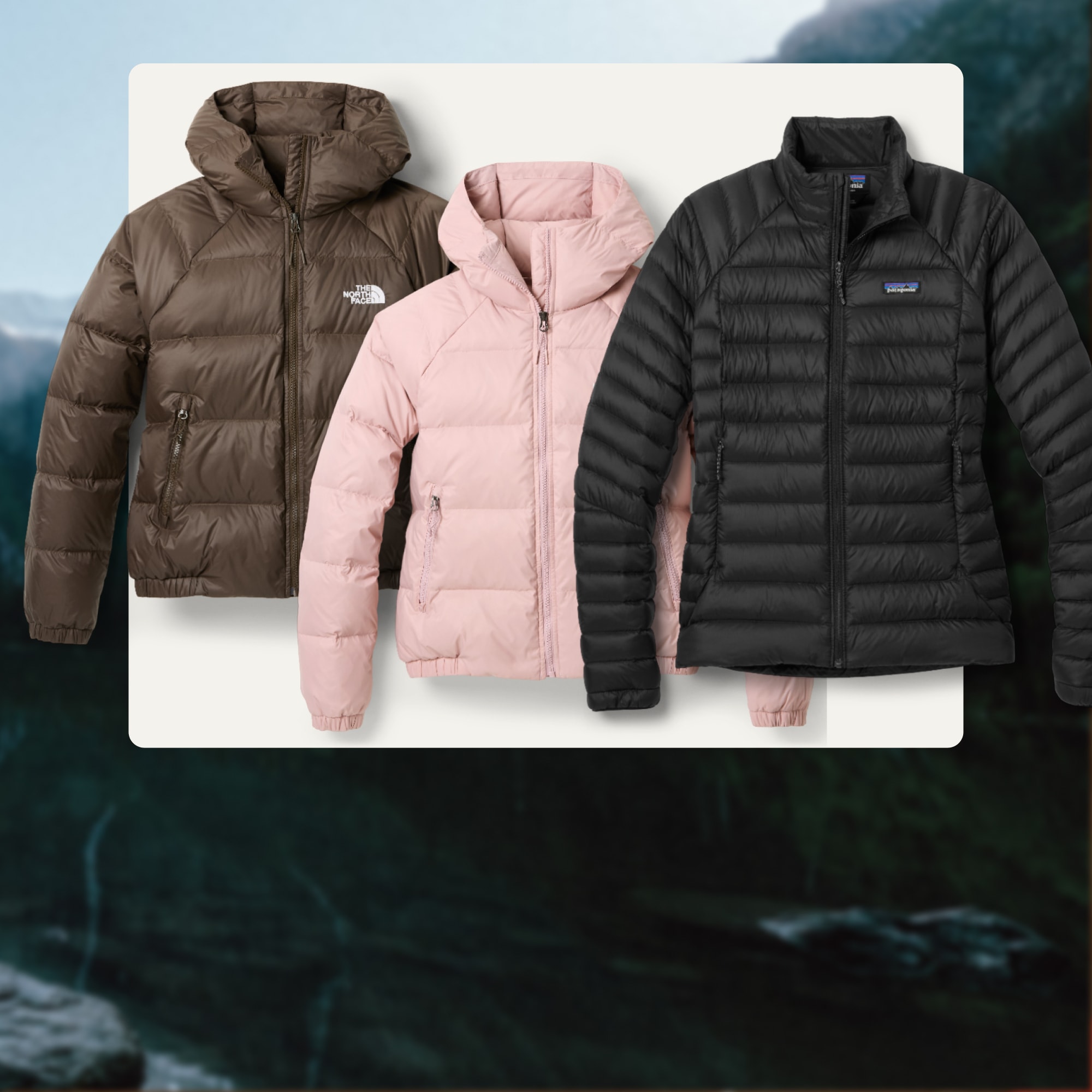 Three jackets on a light colored background over an image of trees and large mountains.
