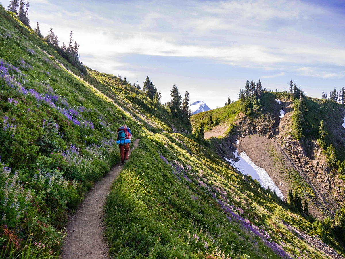 Olympic mountain trails 2025