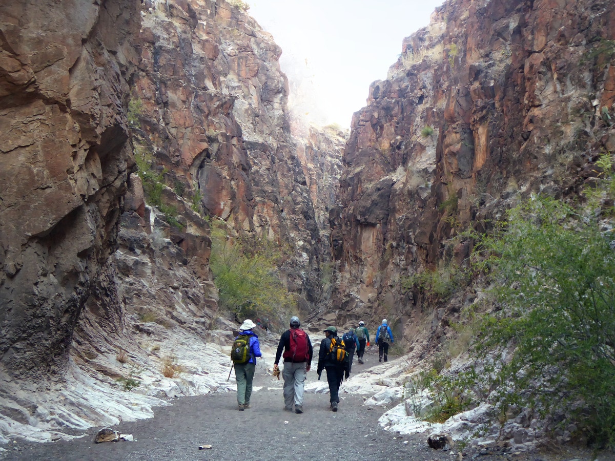 Big bend hiking tours outlet
