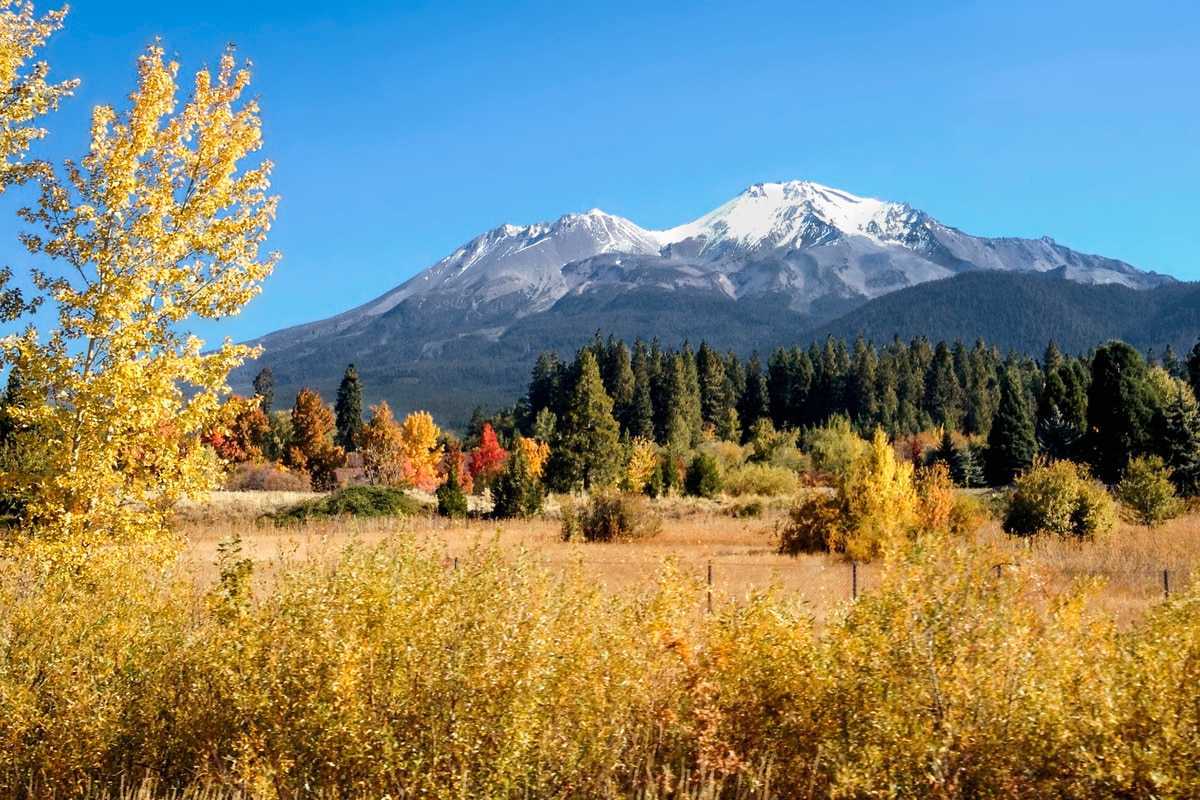 Pacific Crest Trail Backpacking