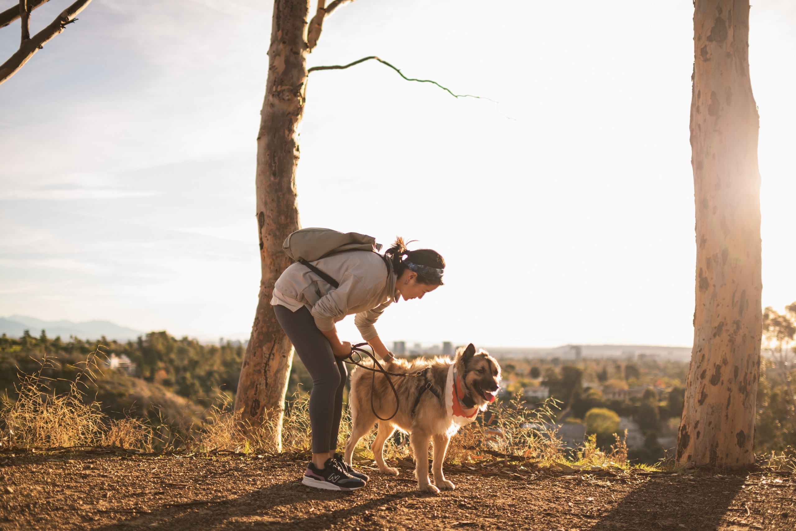 Woman and dog on hike sunrise