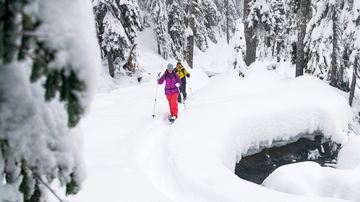 Two snowshoers rocking the MSR Evo go for a hike.