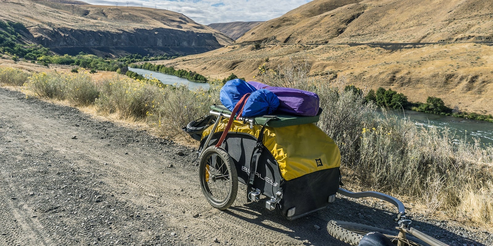 pull behind buggy for bike