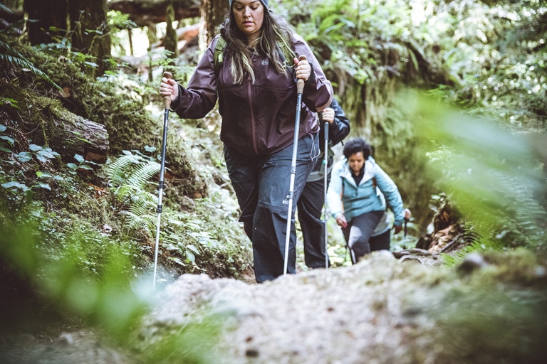 Several people hiking in a line uphill using trekking poles.