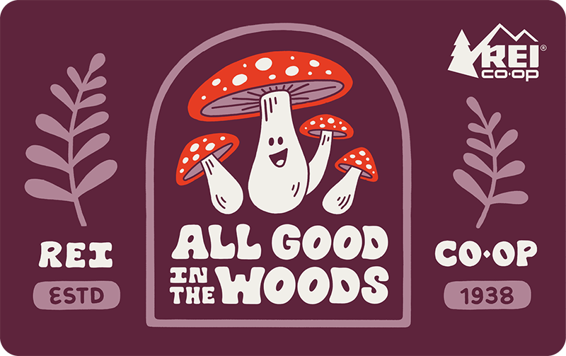 2026 All Good in the Woods