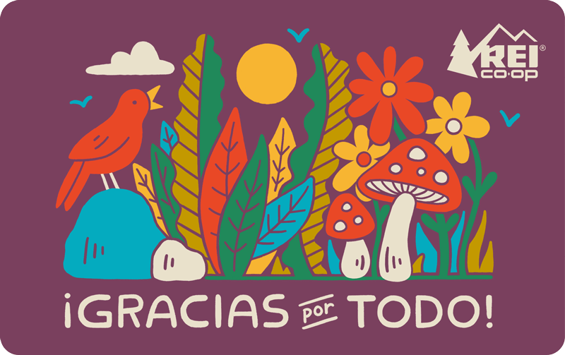 2026 REI Gracias por Todo!