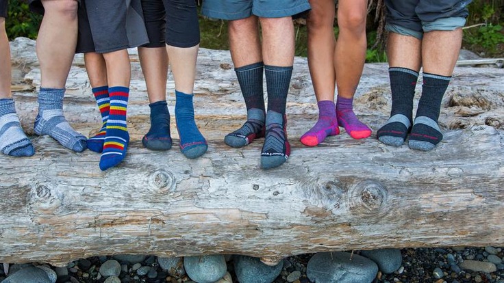 Six hikers stand on a beach log displaying their socks