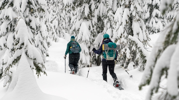 What To Wear Snowshoeing - The Wandering Queen