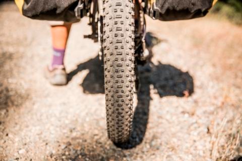 ADV 4.2 2018 Plus Tire