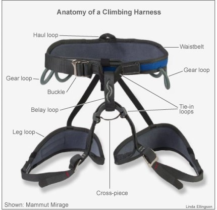 How To Choose The Best Safety Harnesses – A Buyer's Guide - Blog