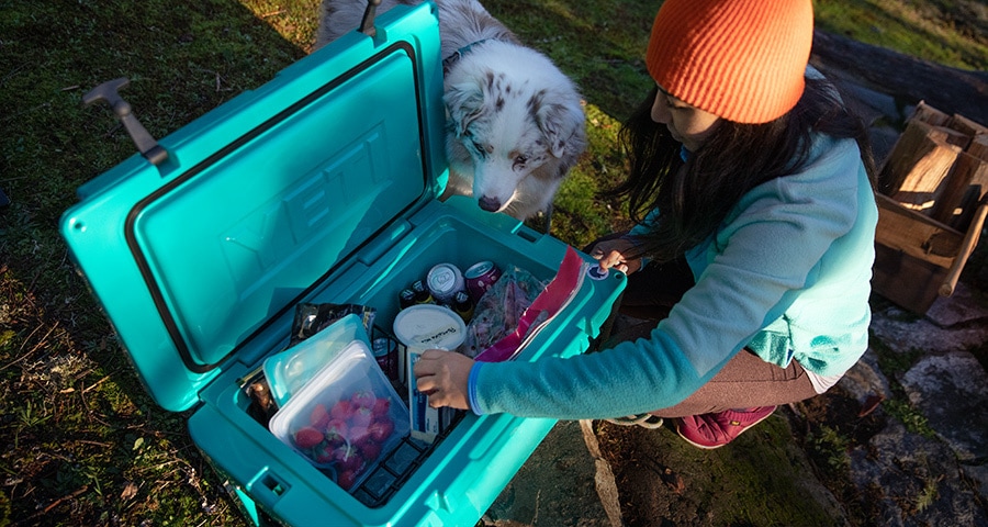 Best Coolers of 2023 REI Expert Advice