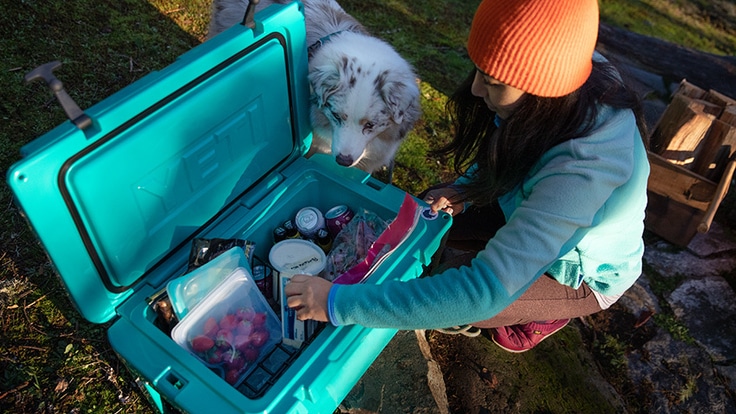 How to Pack a Cooler like a Pro - Fresh Off The Grid