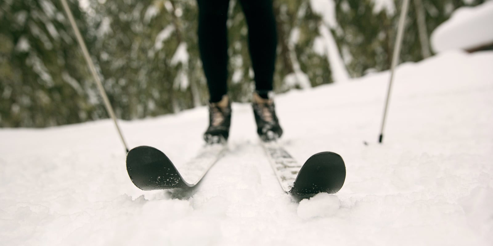 A closeup of a cross country skiier on a pair of skiis on snow with an evergreen forest in the background