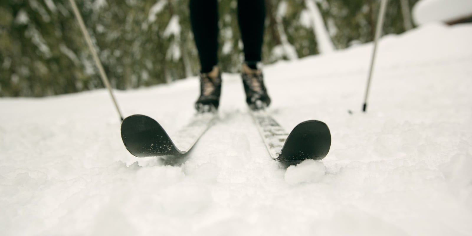 A closeup of a cross country skiier on a pair of skiis on snow with an evergreen forest in the background