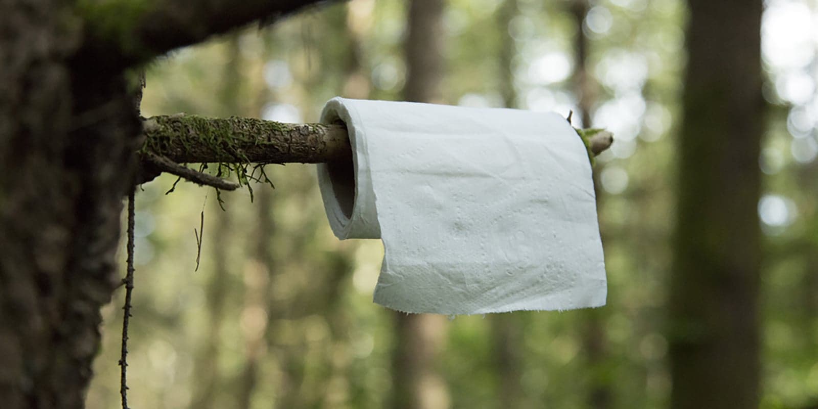 Why did the toilet paper roll down the hill? To get to the bottom